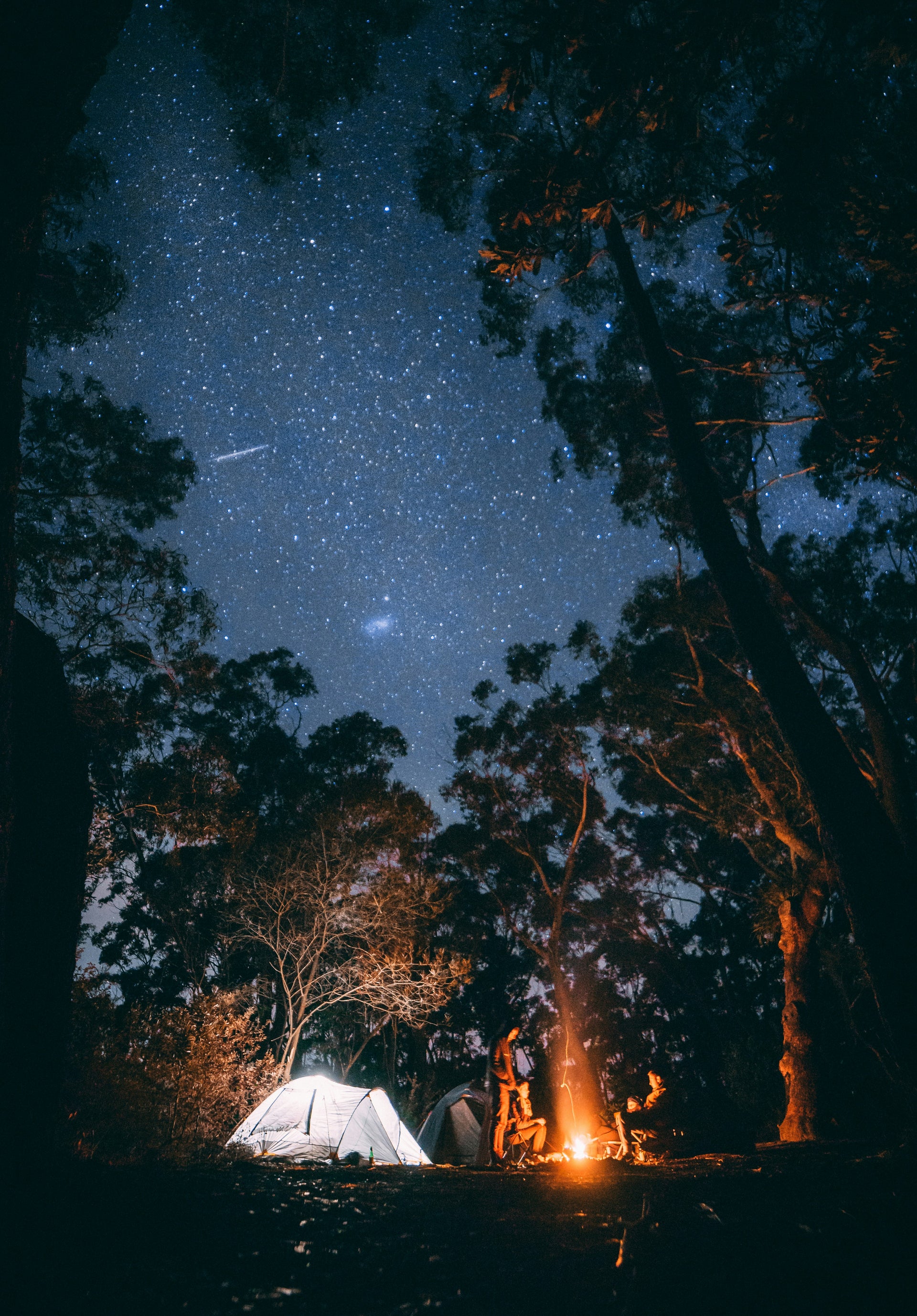 Beautiful Photo of the night and stars. It's blue and faded with a shooting star looking up through the tree line. At the bottom of the photo is a campfire and a tent with some folks hanging around it.